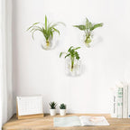 Mkono Wall Planter Propagation Stations Hanging Glass Terrariums Vase Container - Image 2