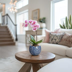 4 inch Plant Pots - Image 4