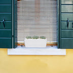 GREANER Window Boxes Planters, Indoor Succulent Cactus Flowers Vegetable - Image 7