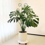 Coomin 32.6in Monstera Plant Support - Image 9