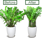 LEOBRO Plant Support Stakes, Plant Support, Peony Cages and Supports, Garden - Image 6
