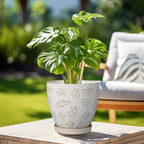Ceramic Planter 8 Inch - Image 4