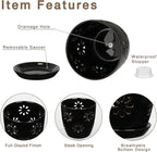 Oairse 6 inch Orchid Pots with Holes, Indoor Plant - Image 2