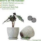 6 Inch Ceramic Planter Pots - Image 2
