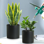 10/8/6 inch Large Deep Plant Pots - Image 5