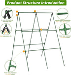 Cucumber Trellis, Foldable Trellis Cucumber - Image 4