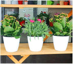 3.5“ Self Watering Planter White Flower Pot, Mini Plant Pot, African Violets - Image 2