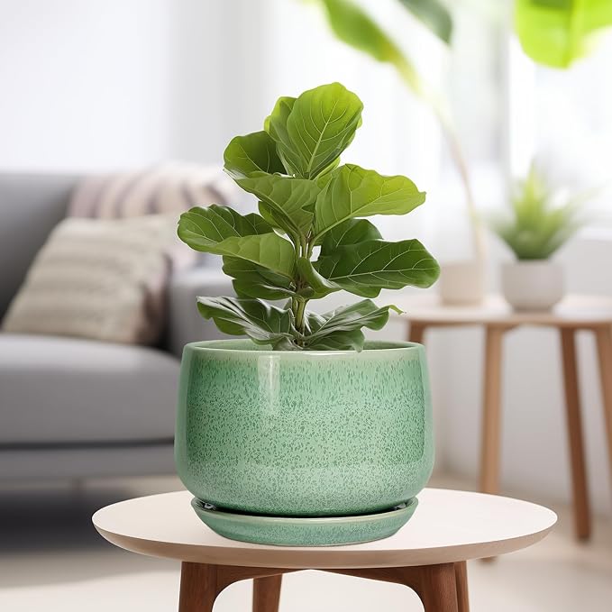 G EPGardening Ceramic Planter - Image 4