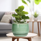 G EPGardening Ceramic Planter - Image 4