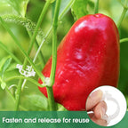300 Pcs Plant Clips for Climbing Plants, Tomato Clips for Support, Plastic - Image 7