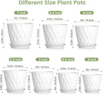7/6.5/6/5.5/5/4.5/4 inch Plant Pots - Image 2