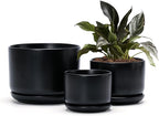 Ton Sin Plant Pots, 4.1+5.1+6.5 inch, Ceramic Planters by TonSin