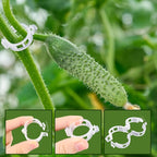 Anyumocz 400Pcs Plant Support Garden Clips, Plastic Grape Tomato Support Clip - Image 5