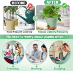 Aulock 6in Self Watering Pots for Indoor Plants - Image 3
