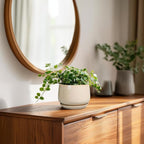 G EPGardening 4 inch Plant Pots - Image 3