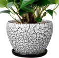 Ceramic Planter Pot by Ceramicfor