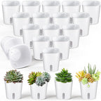 SHENLIU 3" Self Watering Pots, 20 Sets Plastic Self Watering Planters by Unknown