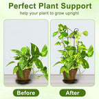 23in Plant Trellis Indoor, Trellis - Image 3