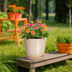 Ceramic Planter - Image 5