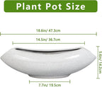 Ceramic Bonsai Tree Pot - Image 2