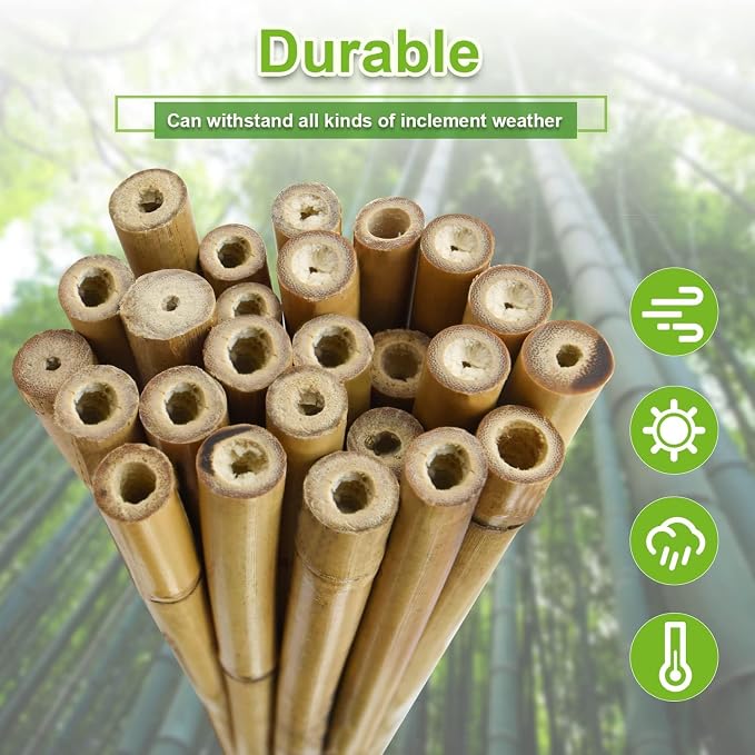 25pcs 1/2" D Thicker Heavy Duty Bamboo Stakes, 4.75FT Plant Stakes, Natural - Image 4