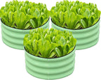 SnugNiture 3 Pcs 2x2x1ft Round Galvanized Raised Garden Bed Kit Outdoor by snugniture