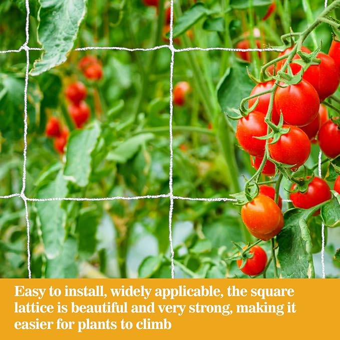 2 PCS Garden Plant Trellis Netting - Image 4
