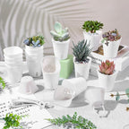 24 Pcs Self Watering Pots for Indoor Plants, 3 Inch White Plastic Self Watering - Image 5
