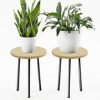 Plant Stand Indoor 14'': Indoor Plant Stand 2 Pack Metal Plant Table by SAKSUNFORYOU