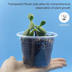 100 Pack 2.8 Inches Clear Plant Pots - Image 3