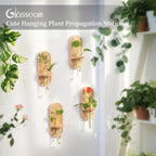 Glasseam Hanging Plant Propagation Stations: Boho Glass Wall Propagation vases - Image 2