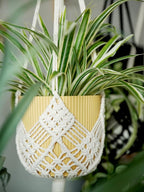 Hanging Planter with Patterns - Image 6