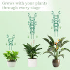 8 Pack Trellis for Potted Plants, Stackable Indoor Plant Trellis for Climbing - Image 3
