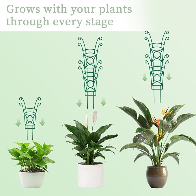 4 Pack Stackable Plant Trellis for Climbing Plants, Indoor/Outdoor Garden - Image 3