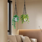 Macrame Plant Hanger Indoor Set of 2 - Image 6