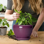 Ceramic Pots for Plants 6 Inch - Image 5