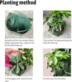 36 Pockets Living Wall Planter Indoor, Self Watering Wall Hanging Planters - Image 6