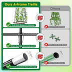 Cucumber Trellis, Metal Garden Trellis - Image 4