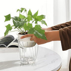 Self Watering Planters - Image 3