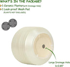 10 Inch Ceramic Plant Pot with Drainage – Large Flower Pot - Image 2
