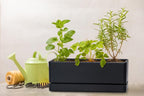 D'vine Dev 12 Inch Window Box Planter, Rectangle Plastic Herb Planter - Image 7