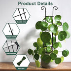 Coomin 23in Taller Plant Trellis - Image 4