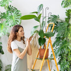 Coomin 32.6in Monstera Plant Support Stakes - Image 2