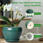 8 Inch Plant Pot - Image 6