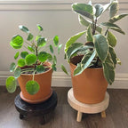 TOPZEA Set of 2 Mini Wooden Stool Display Stand, Wood Riser - Image 4