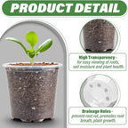 3.5" Clear Seeding Pots 100-Pack Round - Image 3