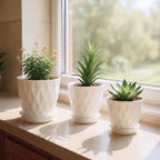 Flower Pots, 7/6.5/6/5.5/5/4.5/4 inch Plastic Plant Pots, 7 Pack Planter - Image 7