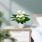 Plant Pots, 7/6.5/6/5.5/5 Inch Self Watering Planters, Pots - Image 7