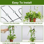 23in Plant Trellis Indoor, Trellis - Image 6