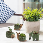 Small Succulent Pots with Drainage, Indoor/Outdoor Ceramic Animal Planter - Image 6